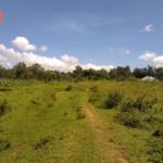 1 acre for sale in Bungomas Luucho 4.jpg
