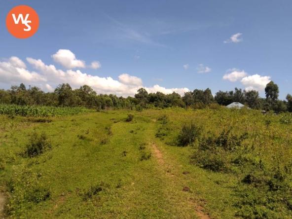 1 acre for sale in Bungomas Luucho 4.jpg