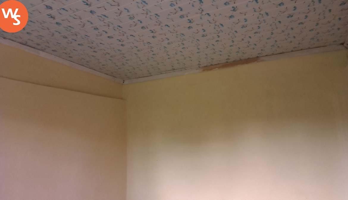 1-bedroom houses for rent in Bungoma Kanduyi