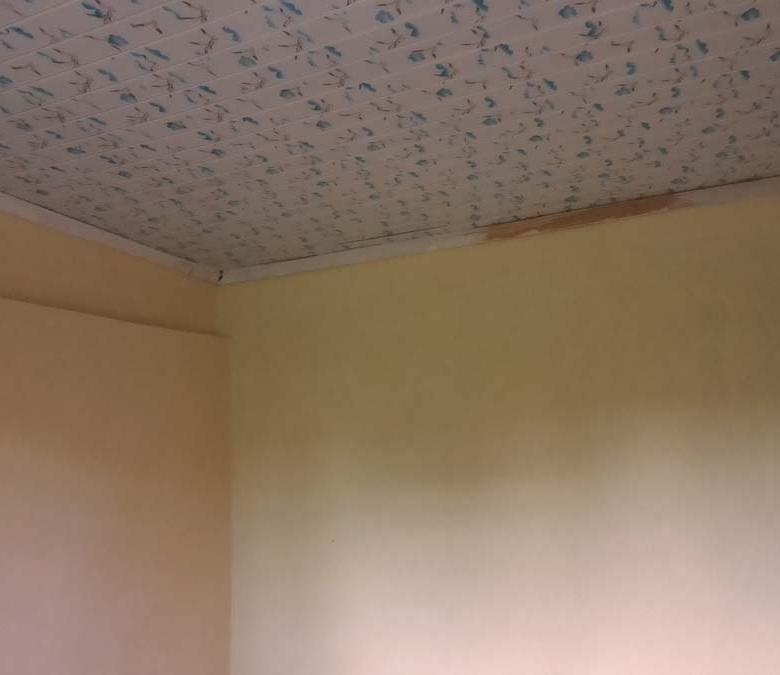 1-bedroom houses for rent in Bungoma Kanduyi
