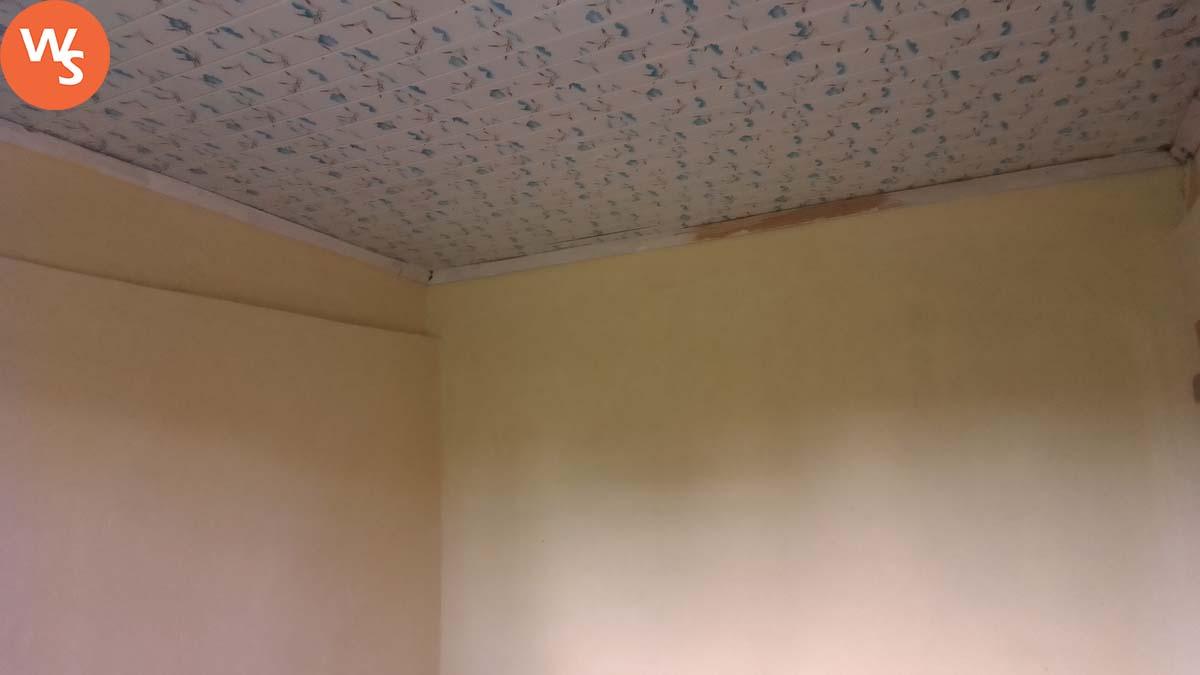 1-bedroom houses for rent in Bungoma Kanduyi