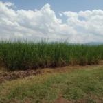 land for sale in Kisumu County