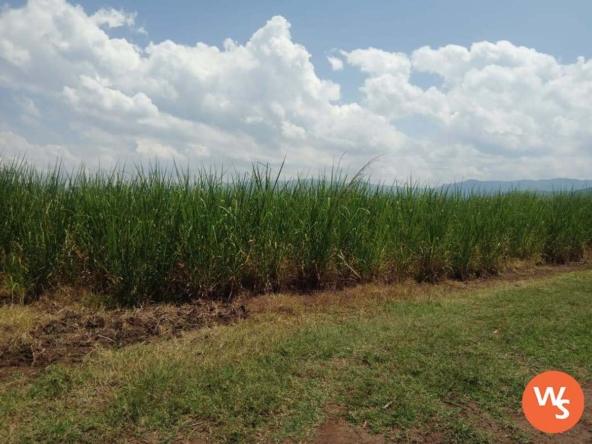 land for sale in Kisumu County