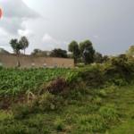 plots for sale in Bungoma Town