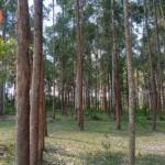 1/8 acre land for sale in Bungoma Nalondo