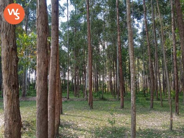 1/8 acre land for sale in Bungoma Nalondo