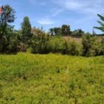 Plot of land for lease in Bungoma's Kanduyi