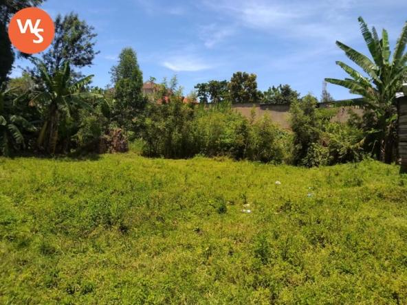 Plot of land for lease in Bungoma's Kanduyi