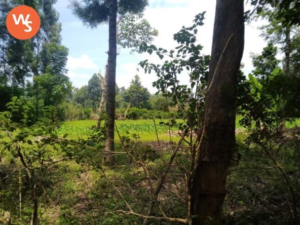 land for sale in Bungoma's Tuuti