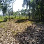 land for sale in Bungoma Siritanyi