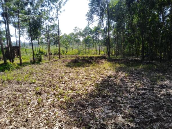 land for sale in Bungoma Siritanyi