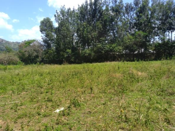 land for Sale in Bungoma Tuuti