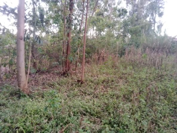 plot for sale in Bungoma Makutano
