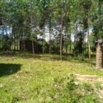 plots of land for sale in Bungoma's Kibabii