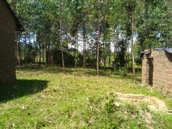 plots of land for sale in Bungoma's Kibabii