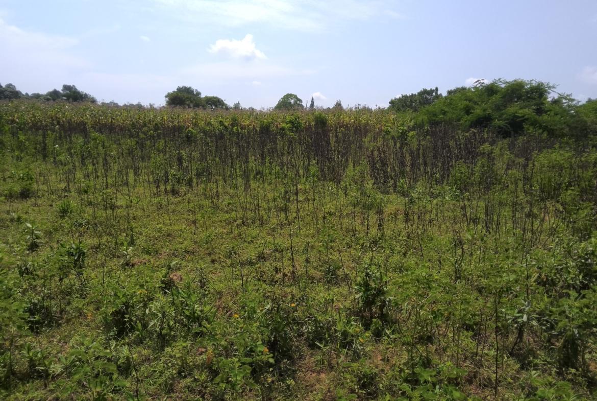 2 acres land for sale in Bungoma's Sikata