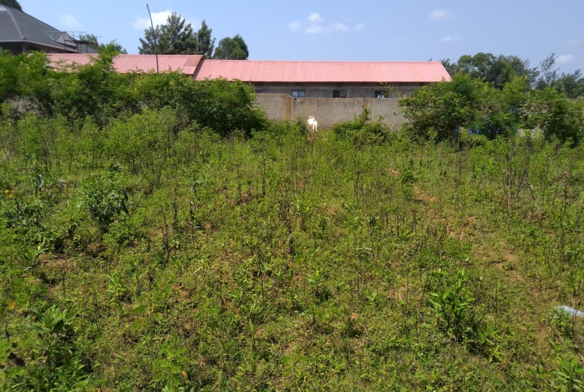 2 acres land for sale in Bungoma's Sikata