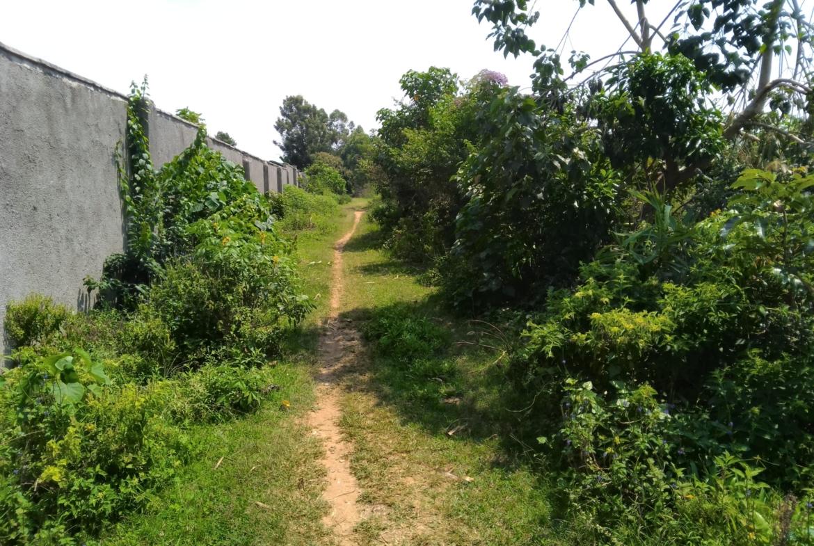 2 acres land for sale in Bungoma's Sikata