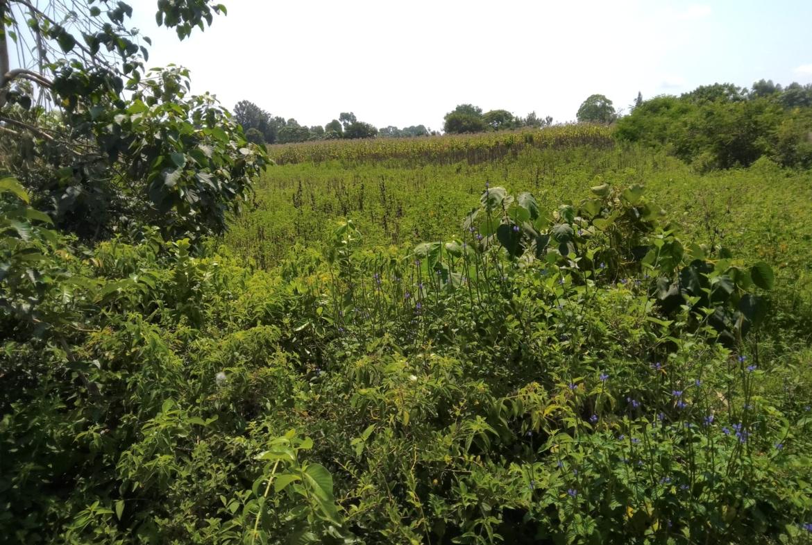 2 acres land for sale in Bungoma's Sikata