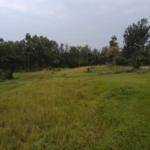 3 acre land for sale in Bungoma's Maliki area