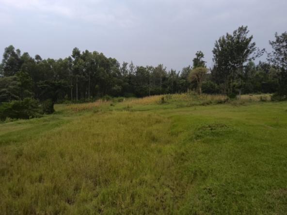 3 acre land for sale in Bungoma's Maliki area