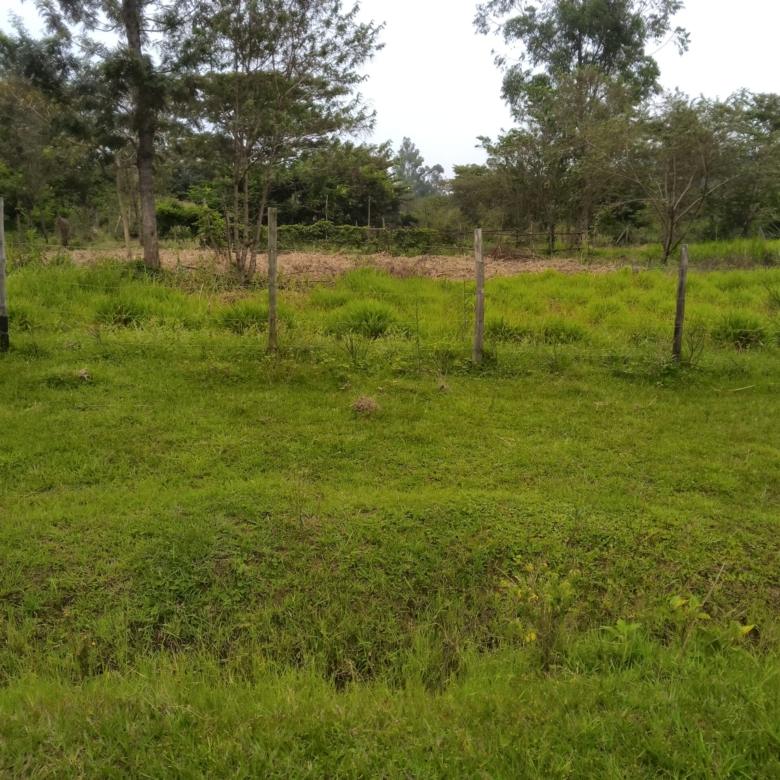 3 acre land for sale in Bungoma's Maliki area