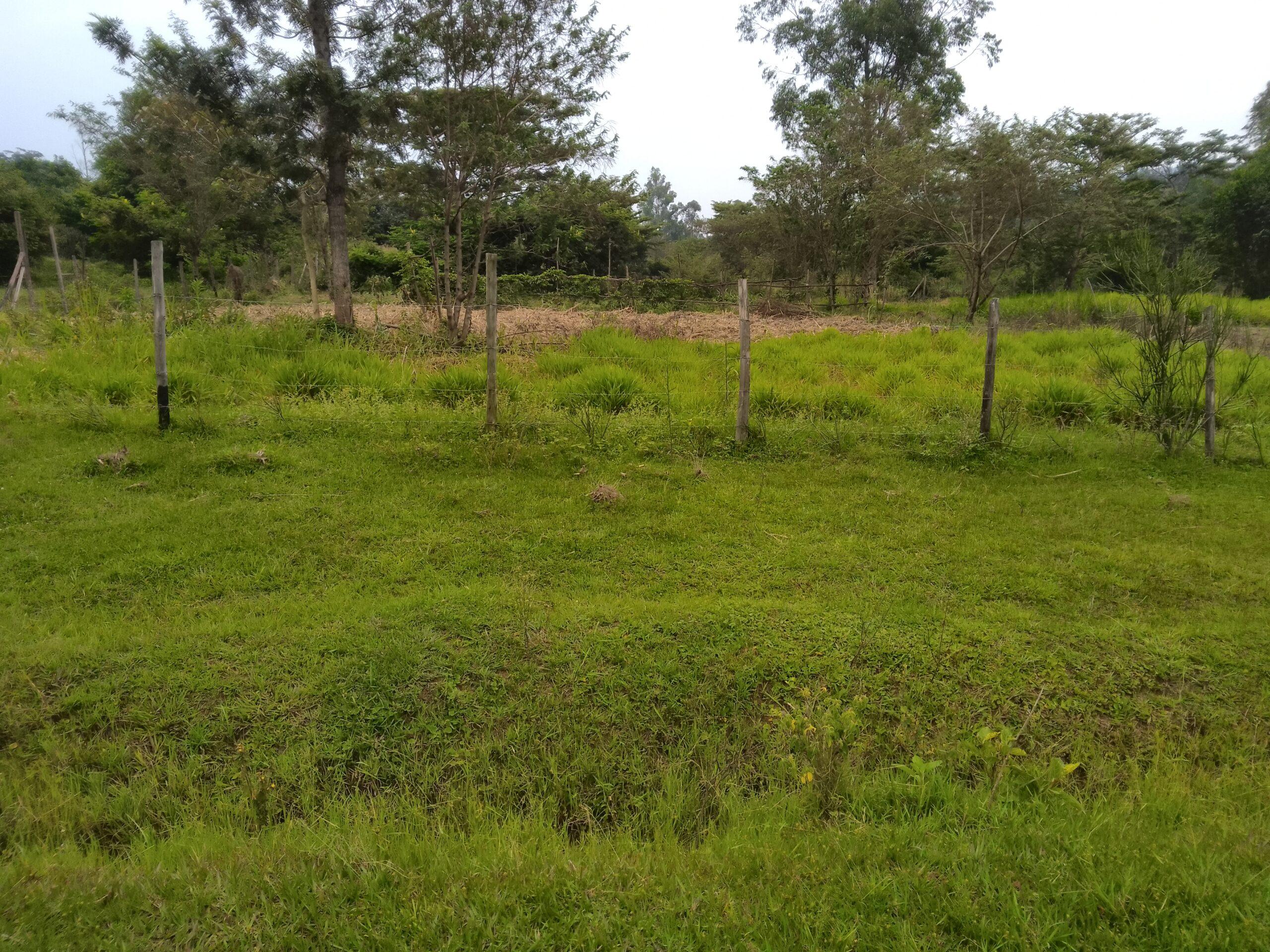3 acre land for sale in Bungoma's Maliki area