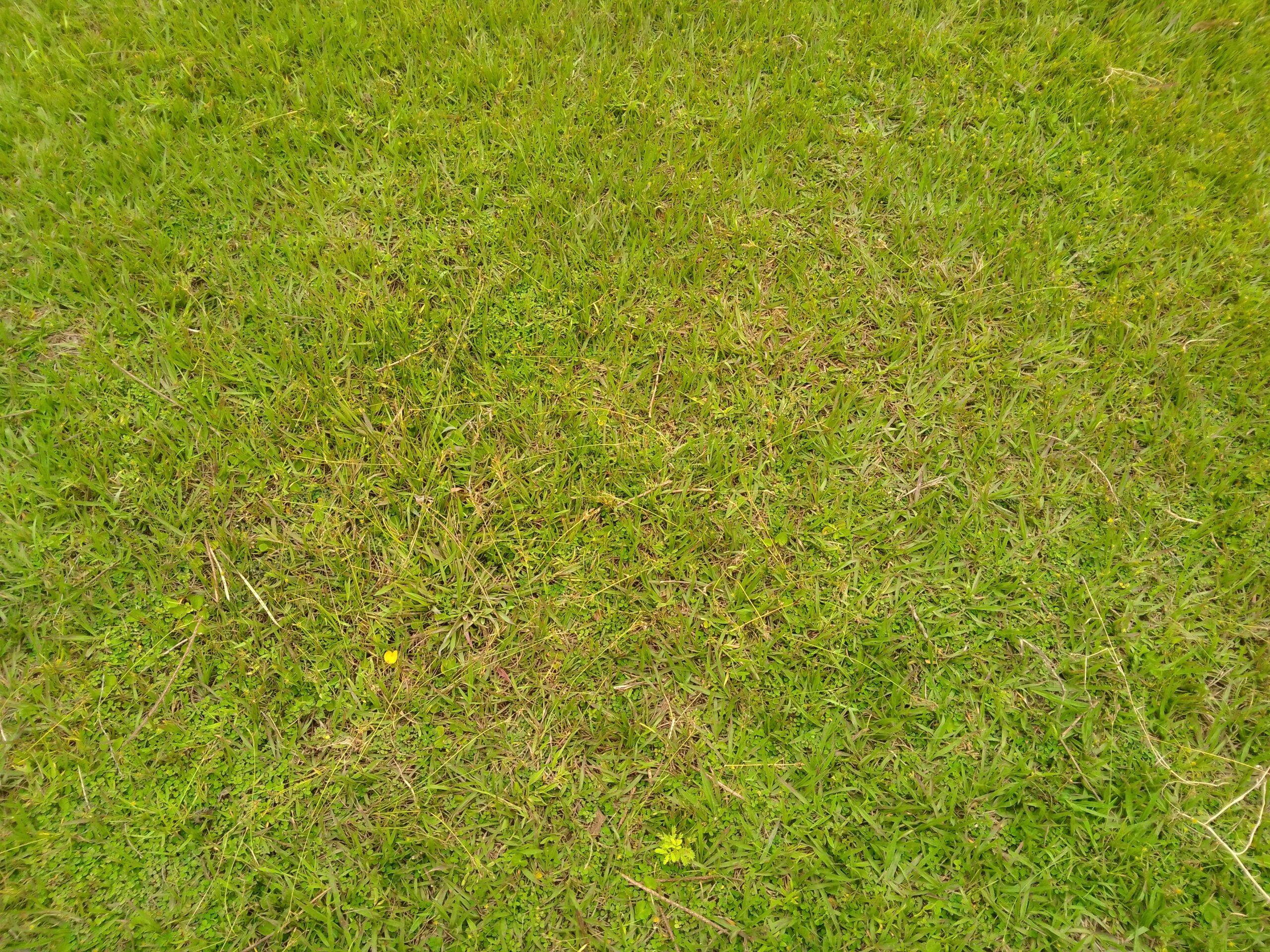 3 acre land for sale in Bungoma's Maliki area