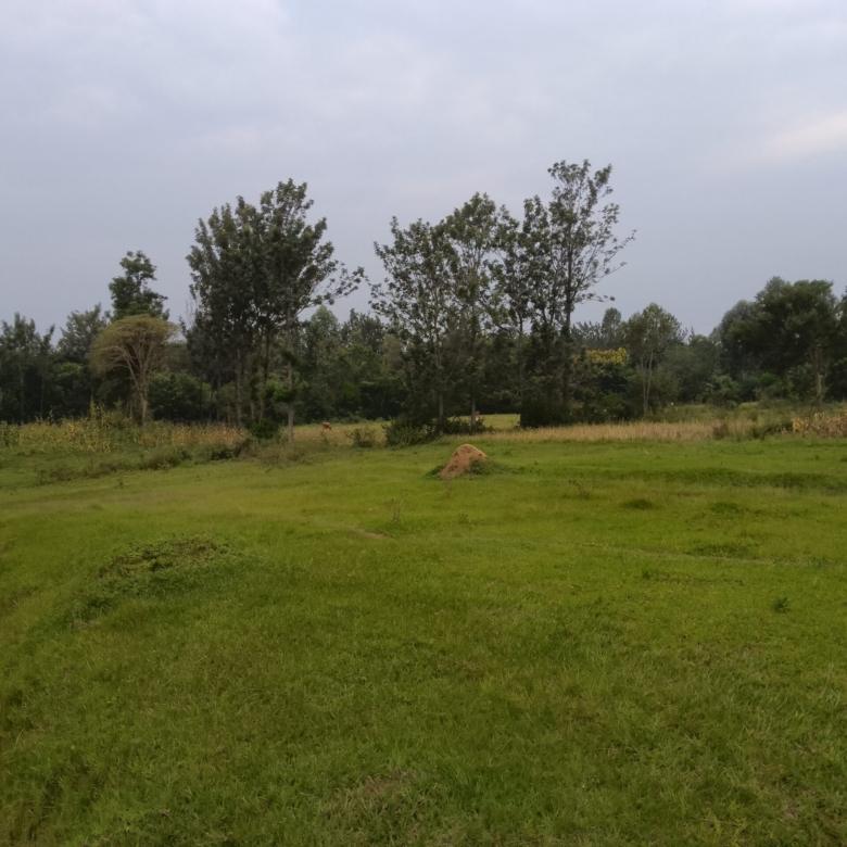 3 acre land for sale in Bungoma's Maliki area