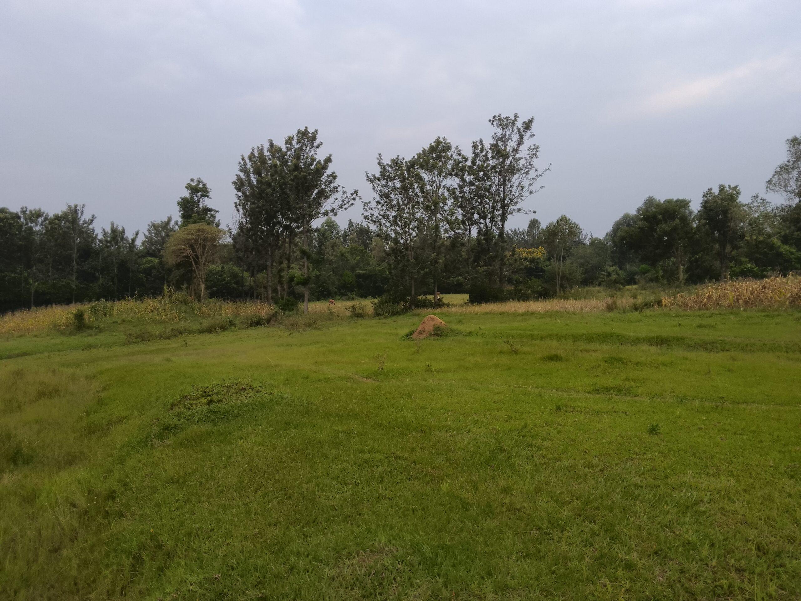 3 acre land for sale in Bungoma's Maliki area