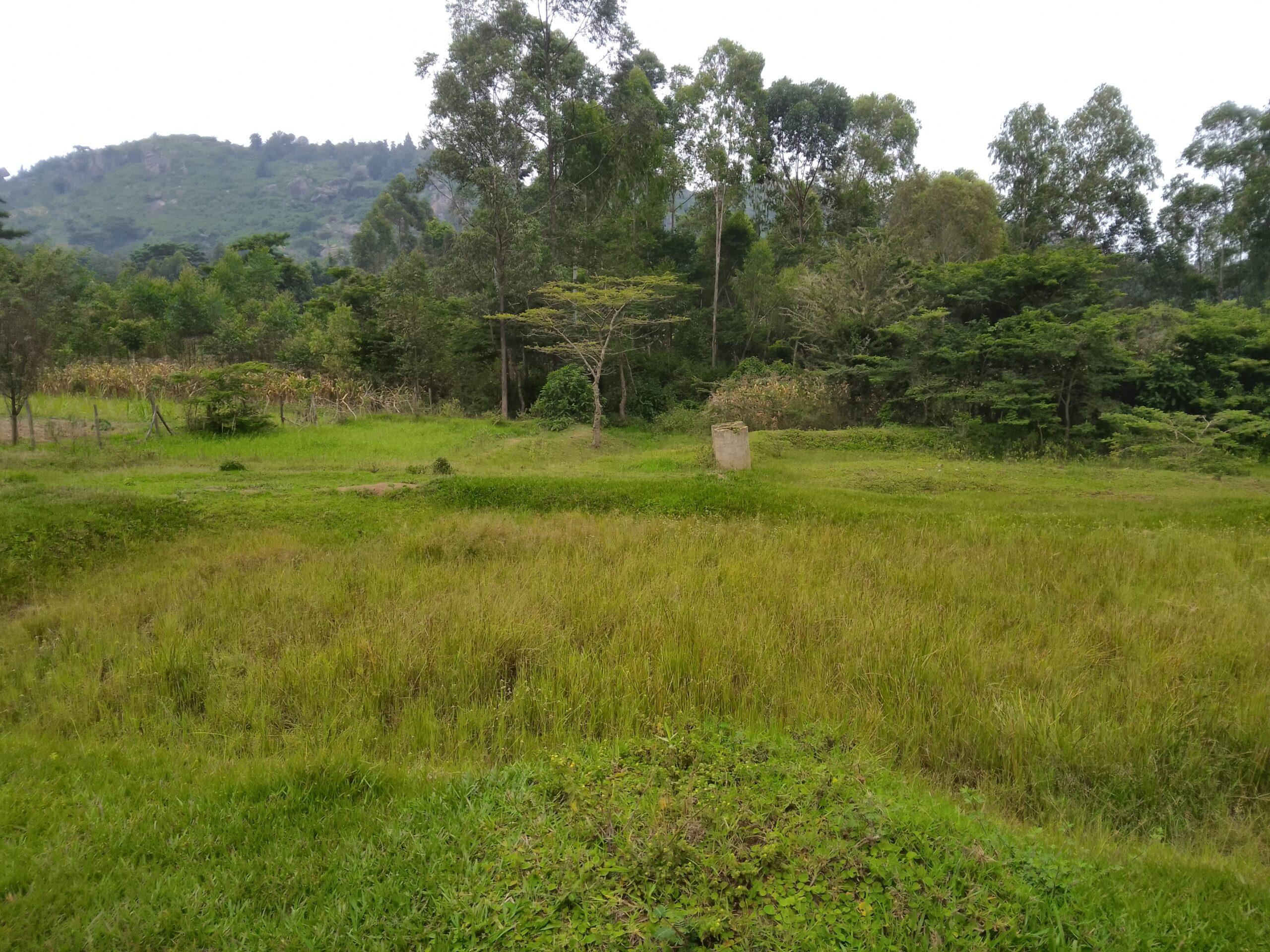 3 acre land for sale in Bungoma's Maliki area