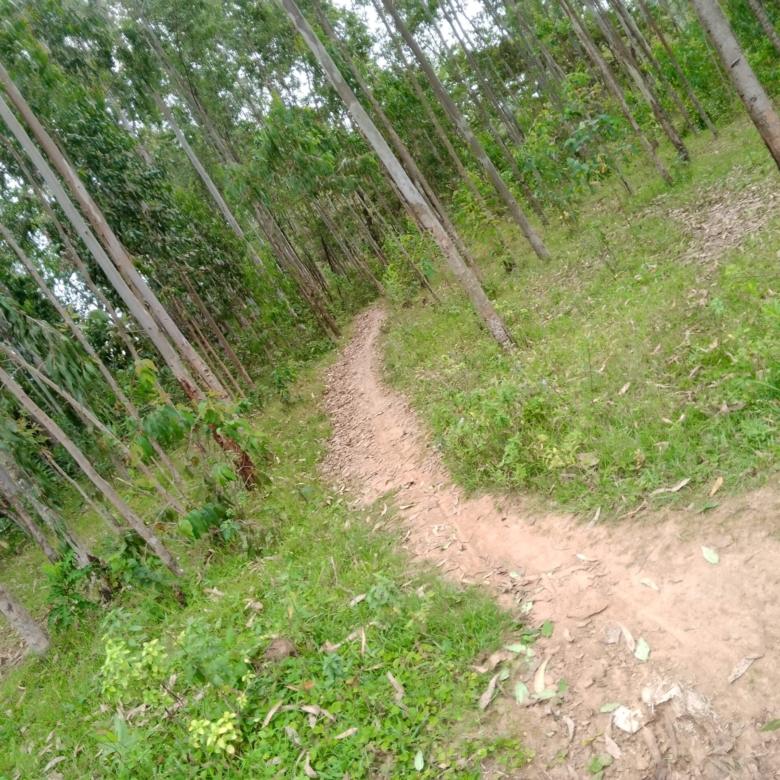 3 acre land for sale in Bungoma's Maliki area