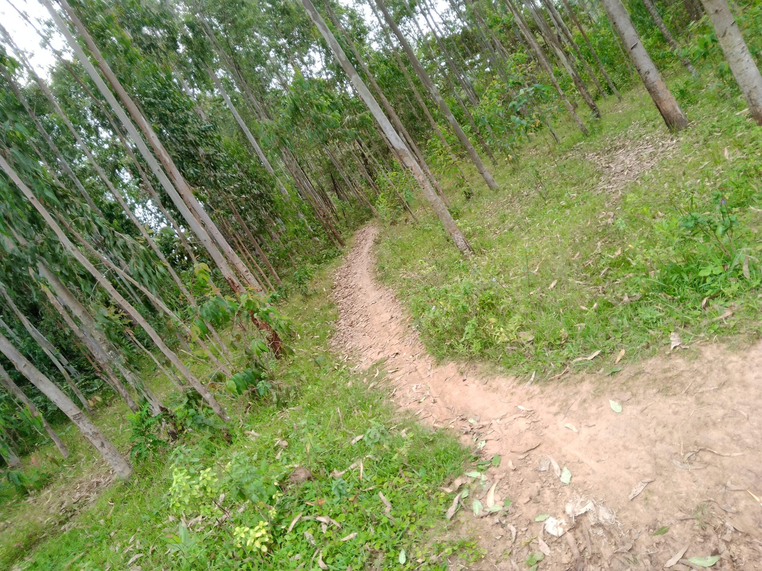 3 acre land for sale in Bungoma's Maliki area