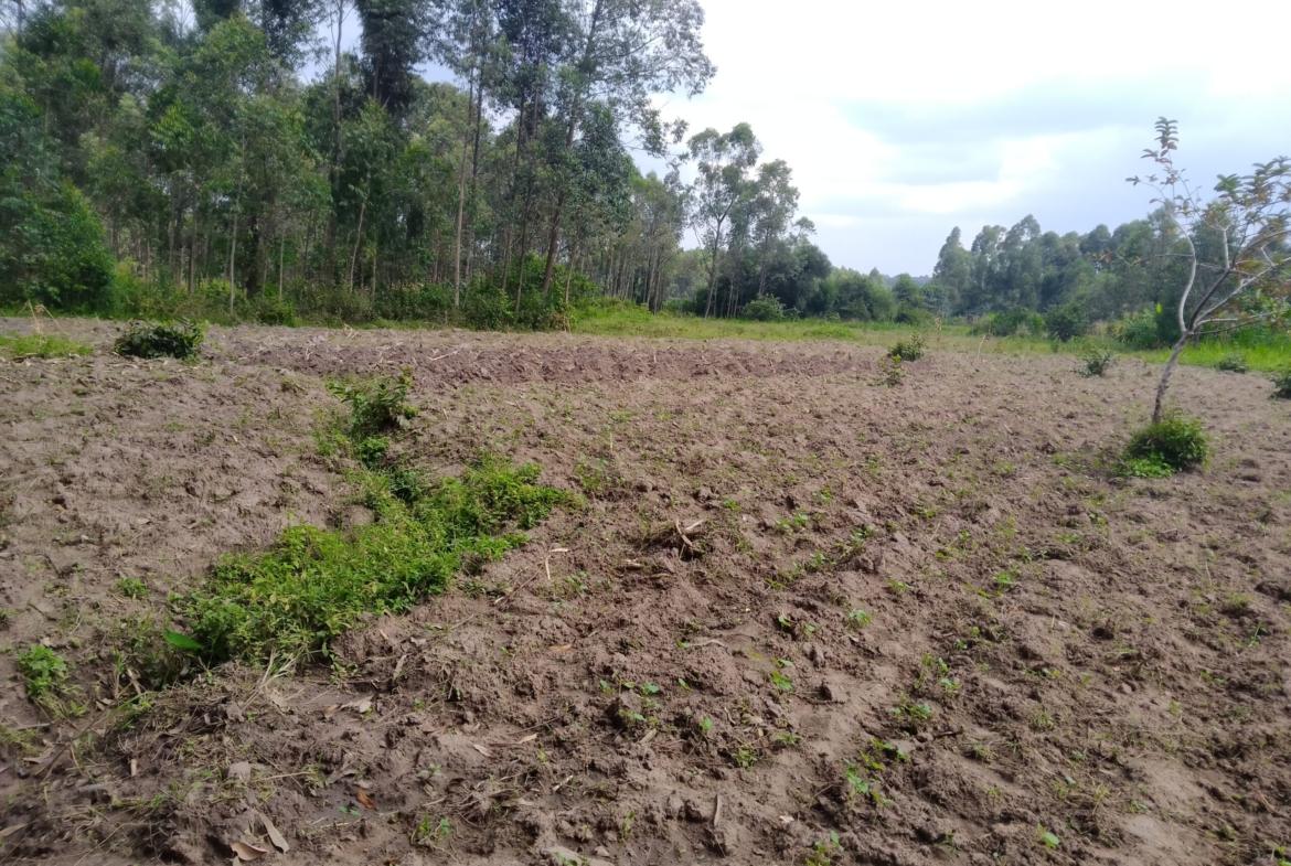 Land for sale in Bungoma