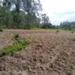 Land for sale in Bungoma