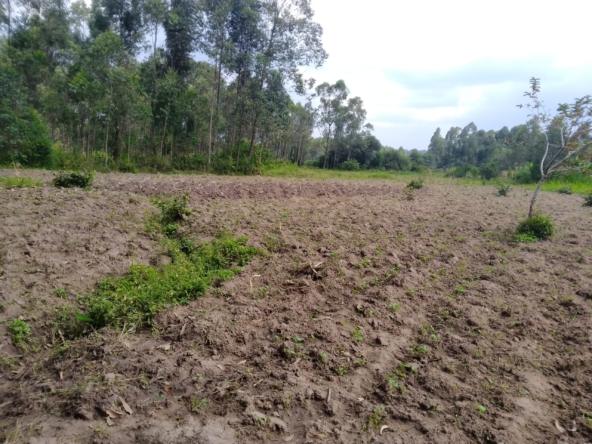 Land for sale in Bungoma
