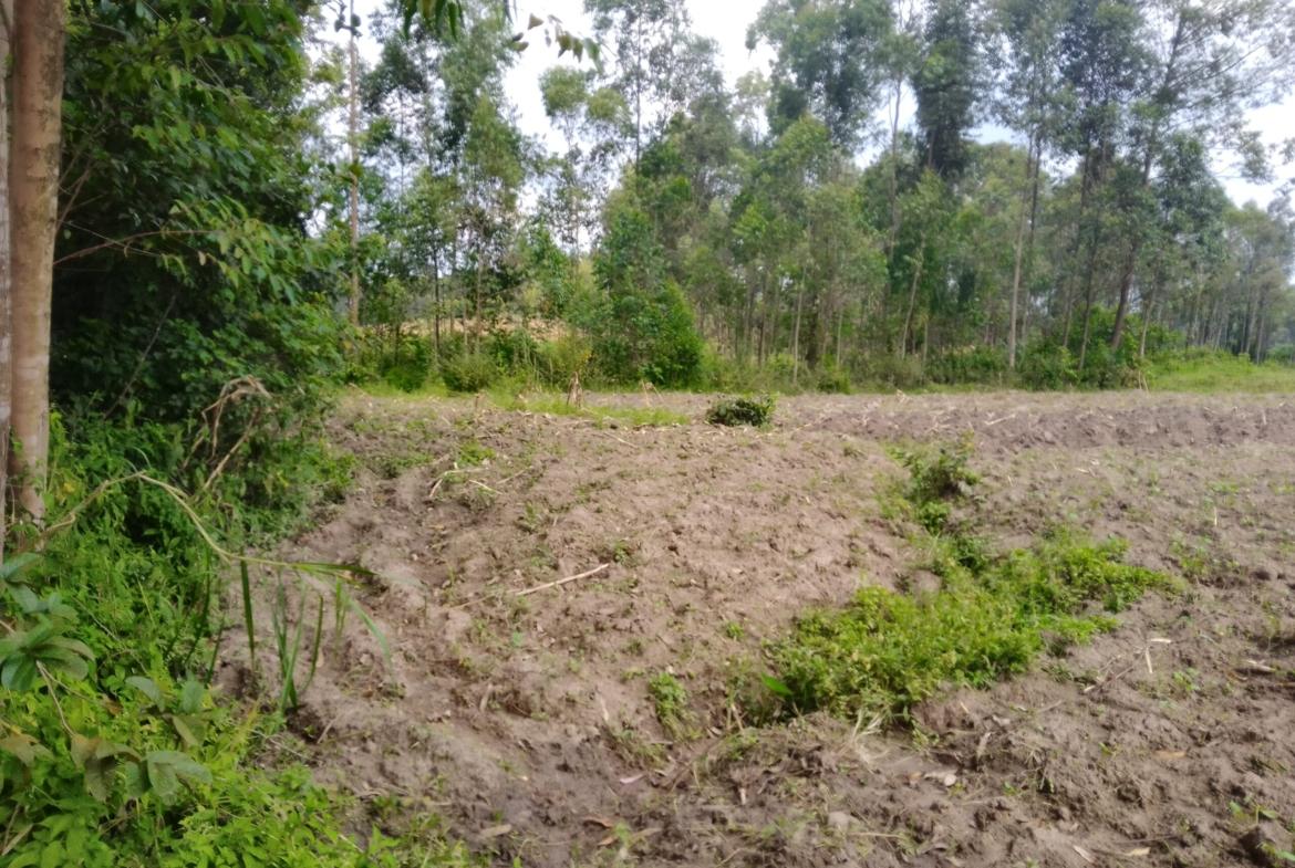 Land for sale in Bungoma