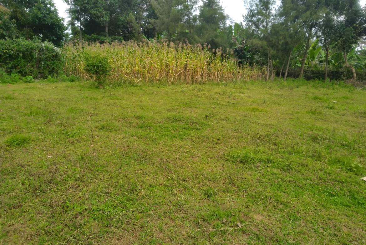 Land for sale in Bungoma Khalaba