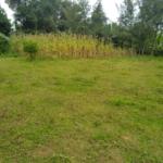 Land for sale in Bungoma Khalaba