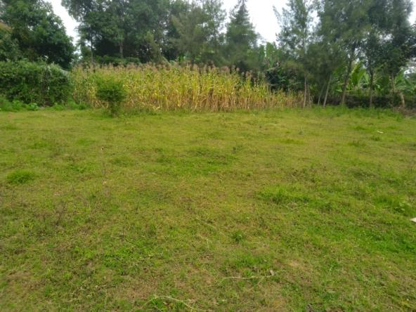 Land for sale in Bungoma Khalaba