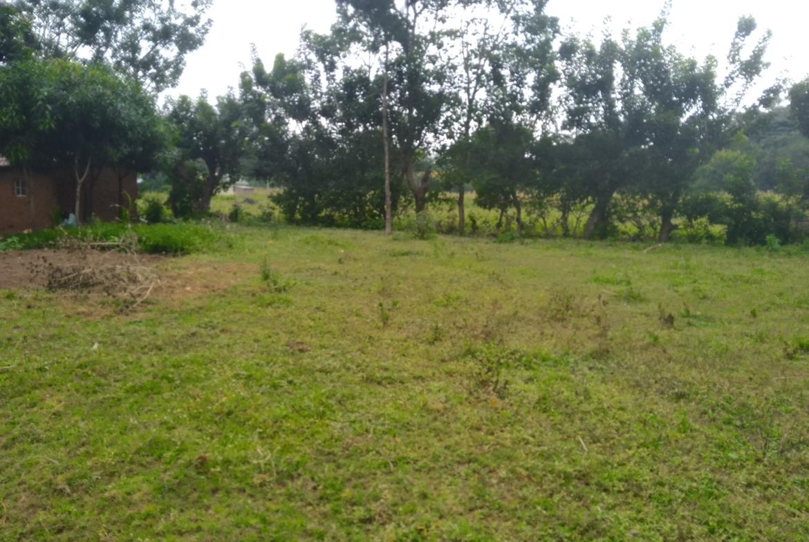 Land for sale in Bungoma Khalaba