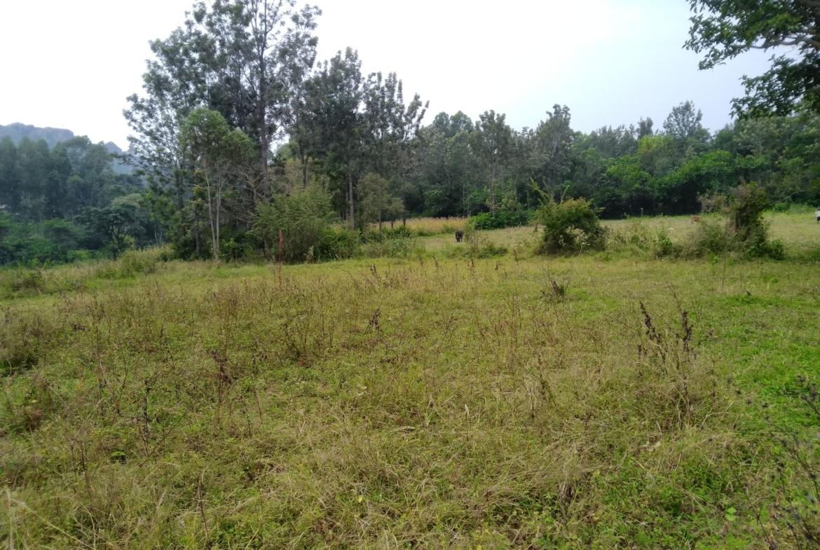 Land for sale in Bungoma's Maliki