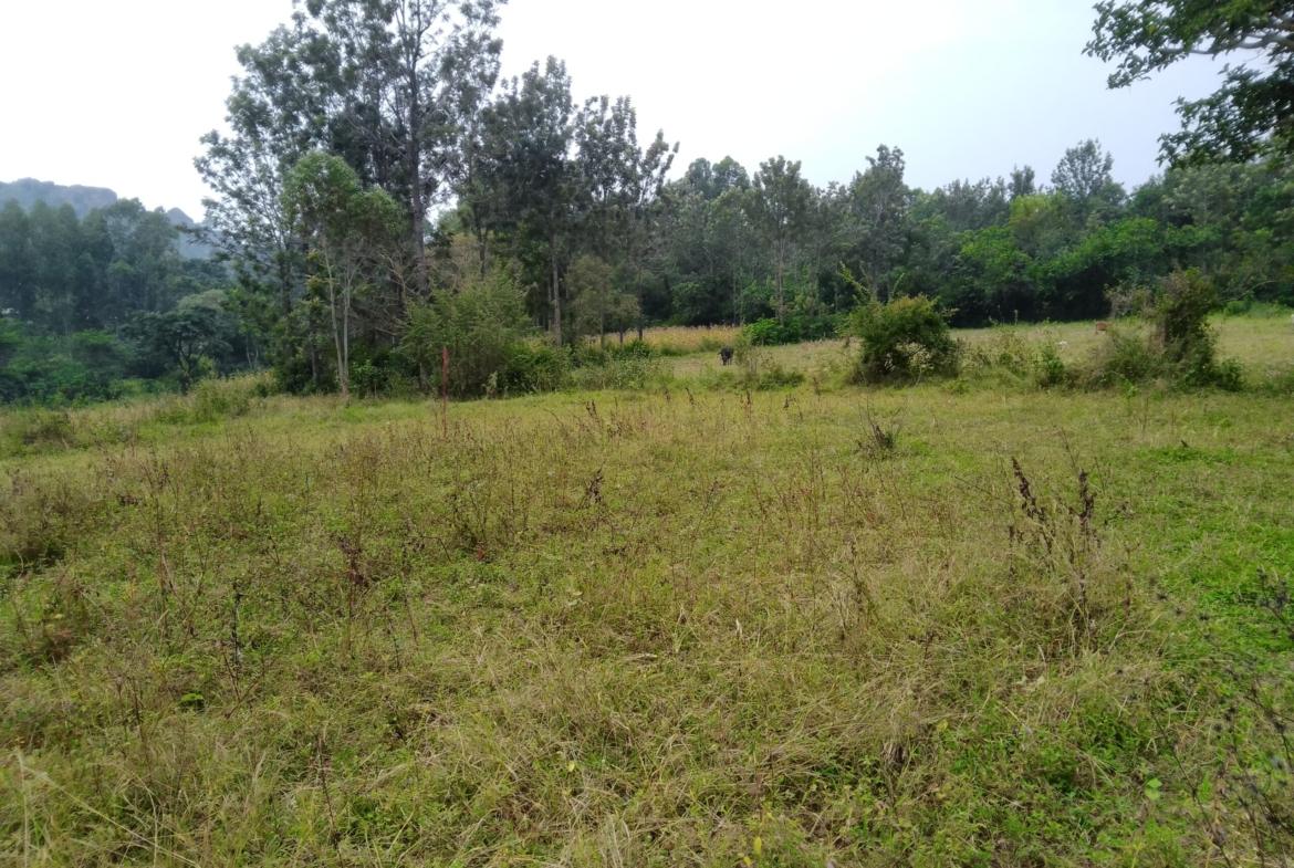 Land for sale in Bungoma's Maliki