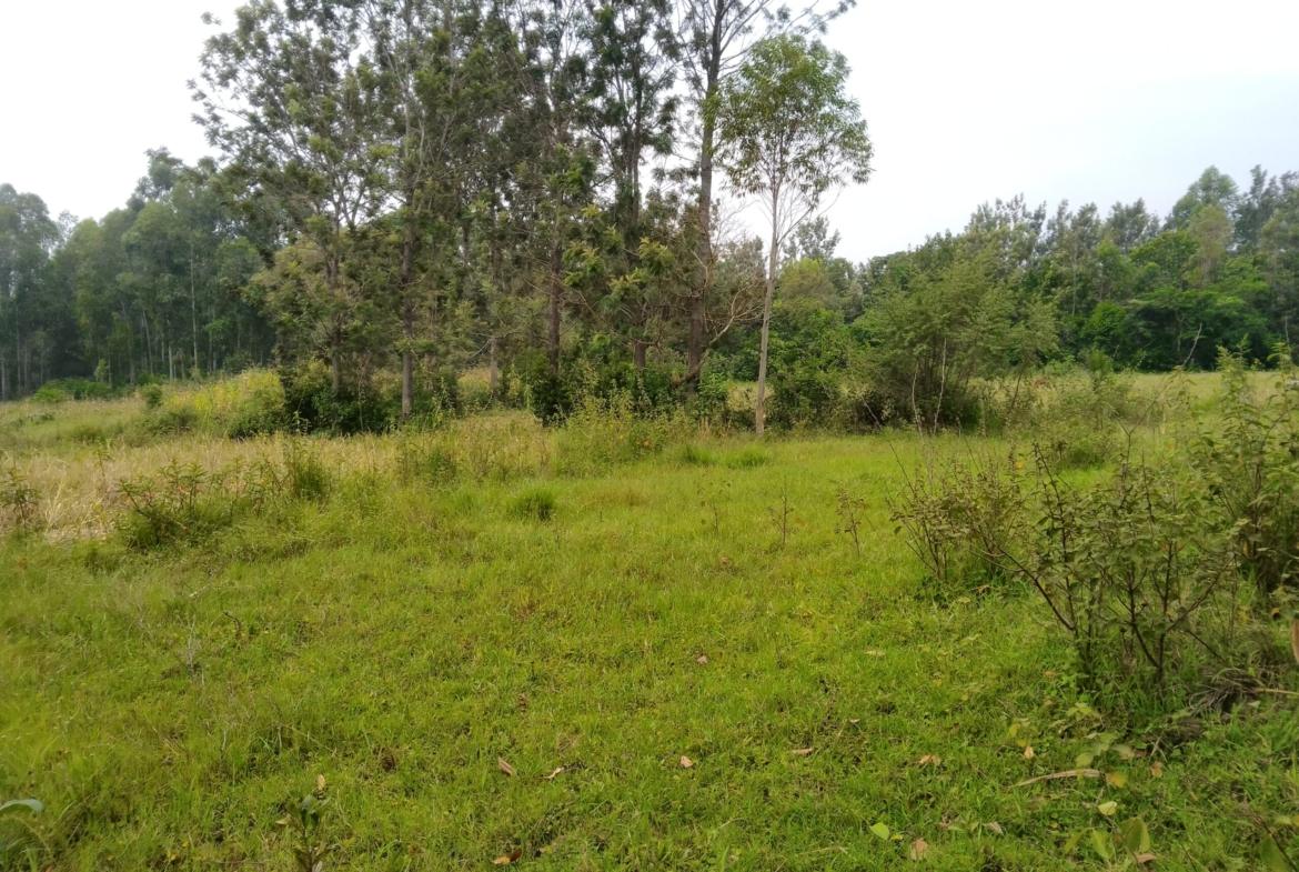 Land for sale in Bungoma's Maliki