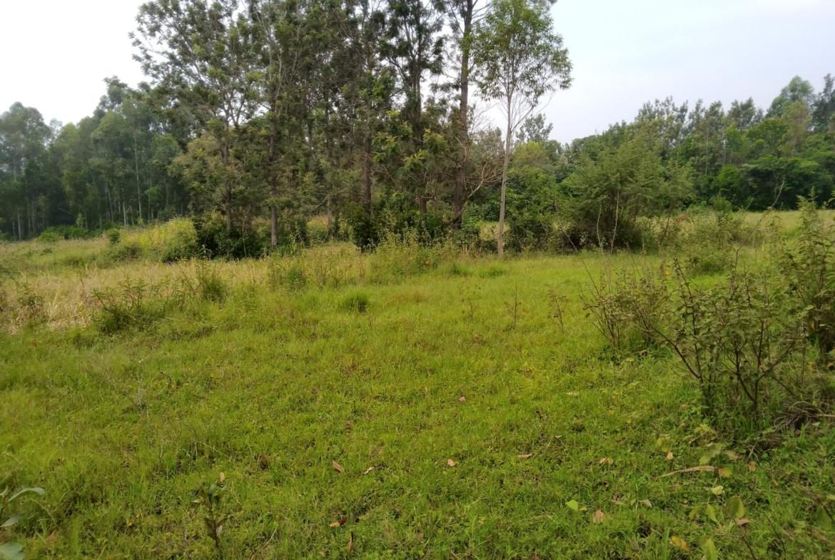 Land for sale in Bungoma's Maliki