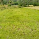 Land for sale in Bungoma's Maliki