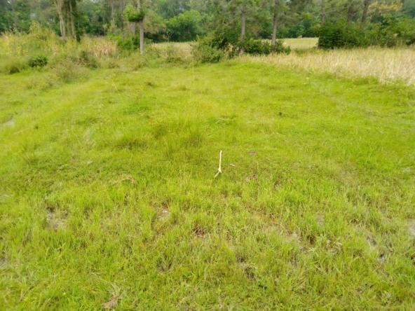 Land for sale in Bungoma's Maliki