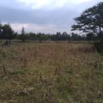 Land for sale in Bungoma's Kanduyi