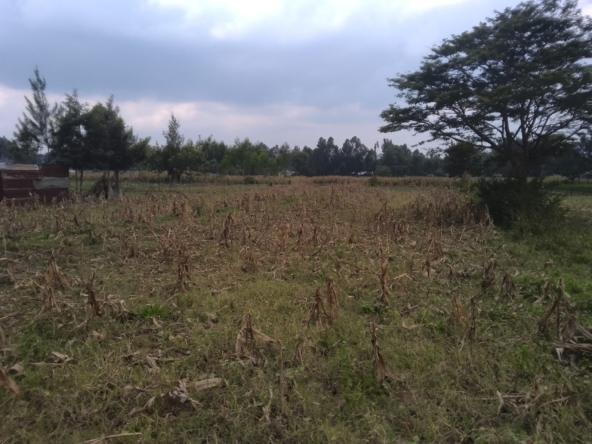 Land for sale in Bungoma's Kanduyi