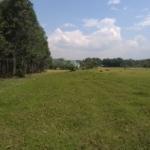 Land for sale in Bungoma's Kanduyi